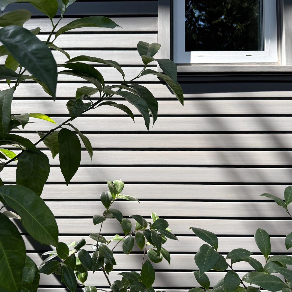 gilded-detail-ceiling-paint-bay-area